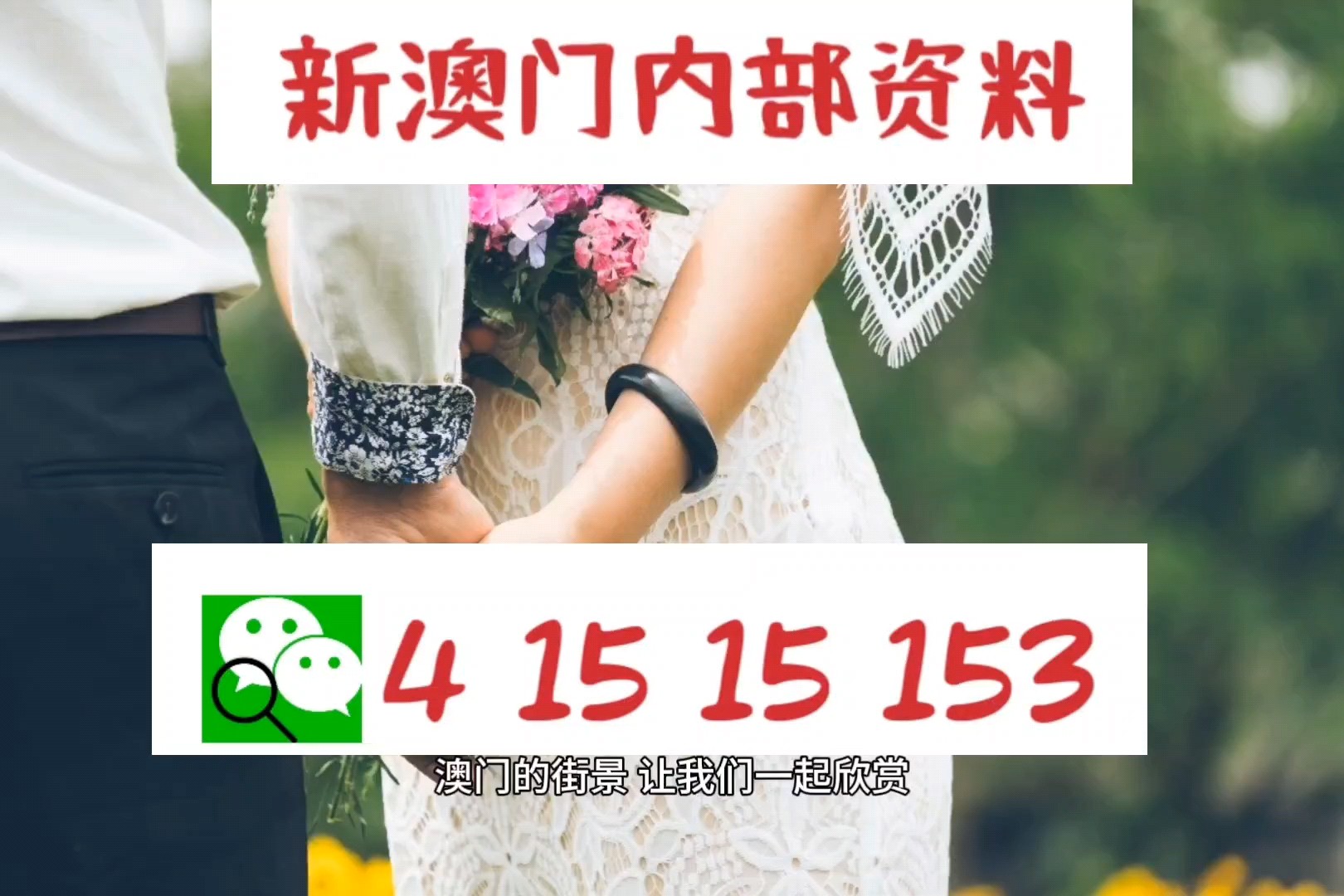 2025澳門精準(zhǔn)正版圖庫(kù),高效性策略設(shè)計(jì)_豪華款88.264